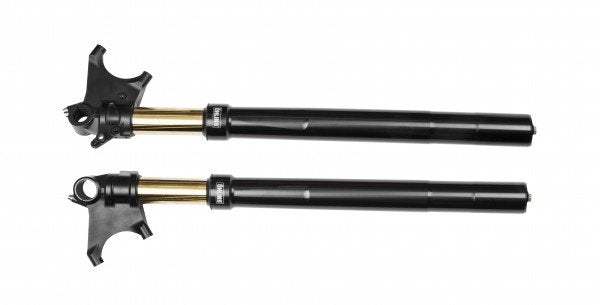 ÖHLINS - Street R&T 48 Fork (FGRT 301)