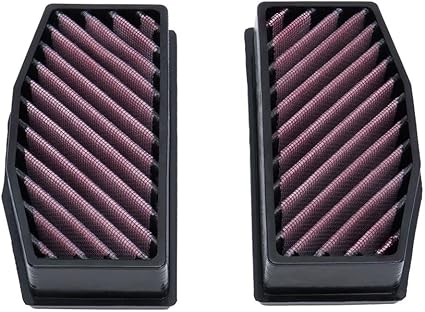 DNA Air Filters - Air Filter for BMW R 1300 GS 23-24