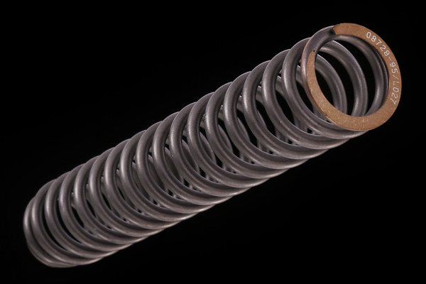 ÖHLINS -  fork springs (08640-50)