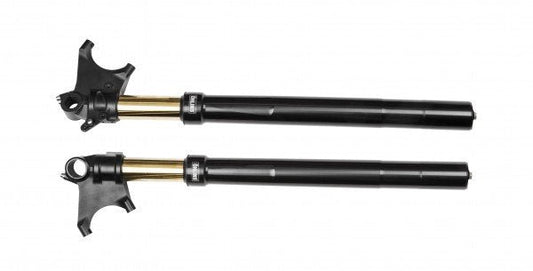 ÖHLINS -  Street R&T 48 Fork (FGRT 301)